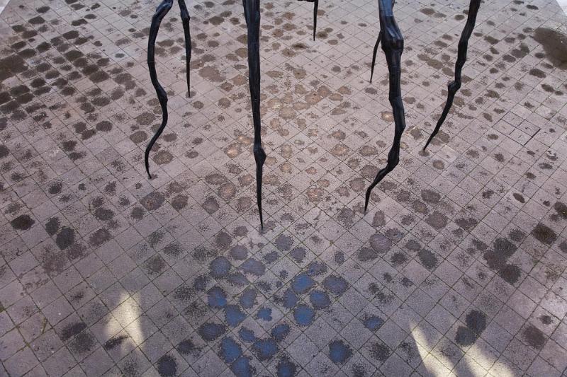 LOUISE BOURGEOIS, Reggia di Capodimonte 2009