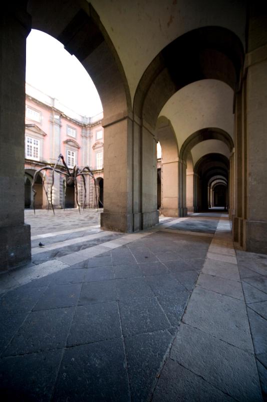 LOUISE BOURGEOIS, Reggia di Capodimonte 2009
