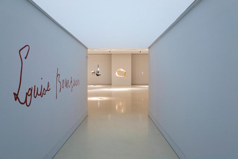 LOUISE BOURGEOIS, Reggia di Capodimonte 2009