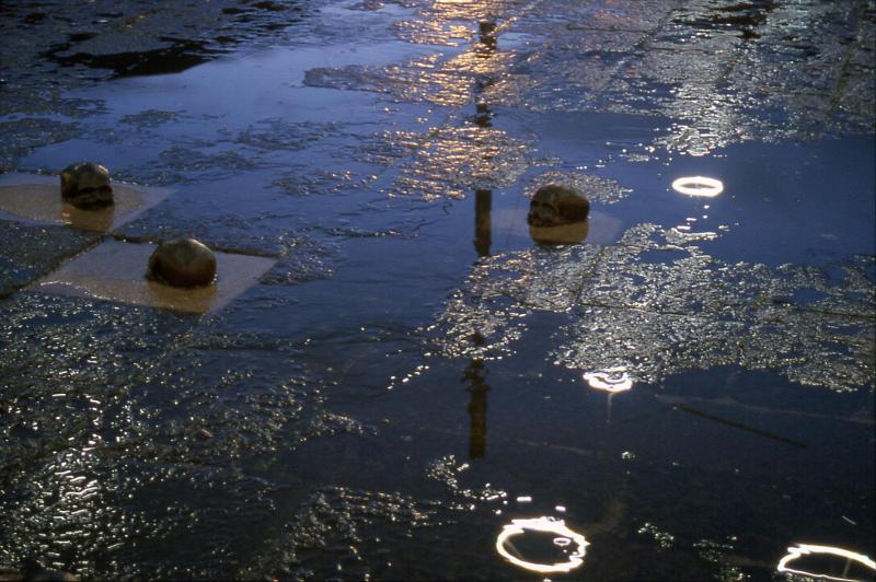 REBECCA HORN - Spiriti di madreperla, Piazza del Plebiscito 2002
