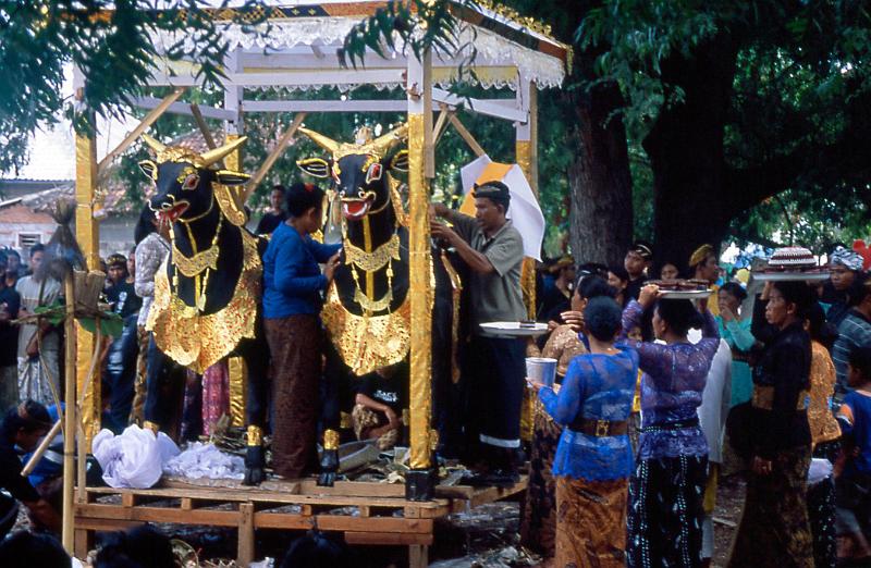 Bali funeral