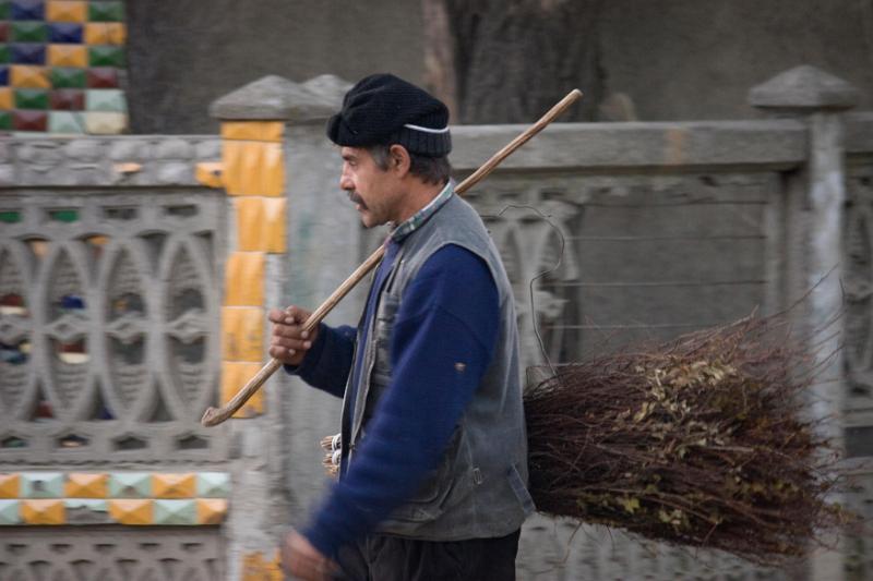 Romania, around Bucarest, 2008