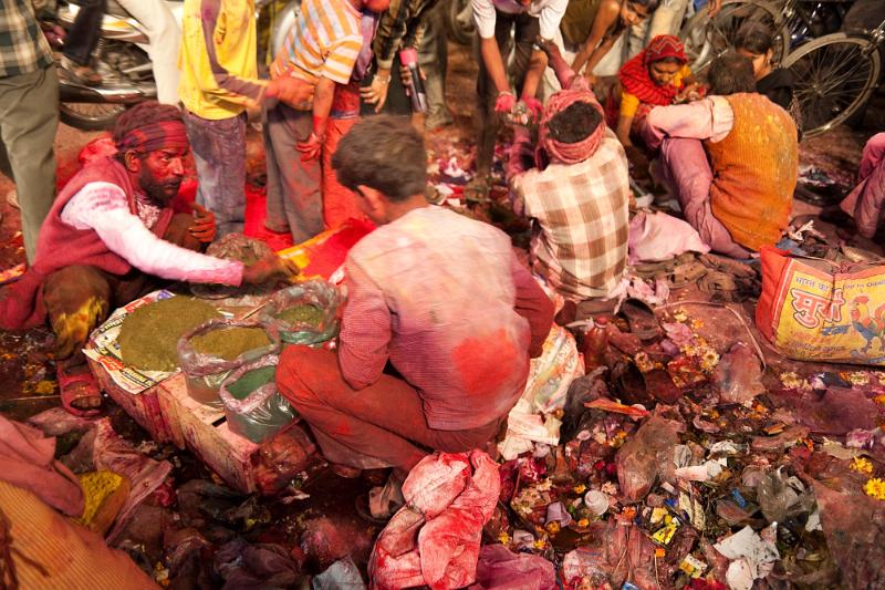 Holi