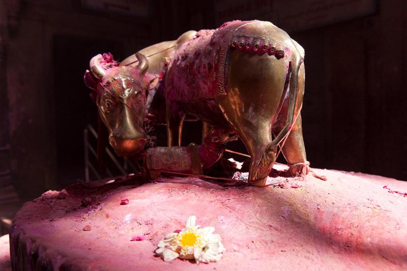 Holi