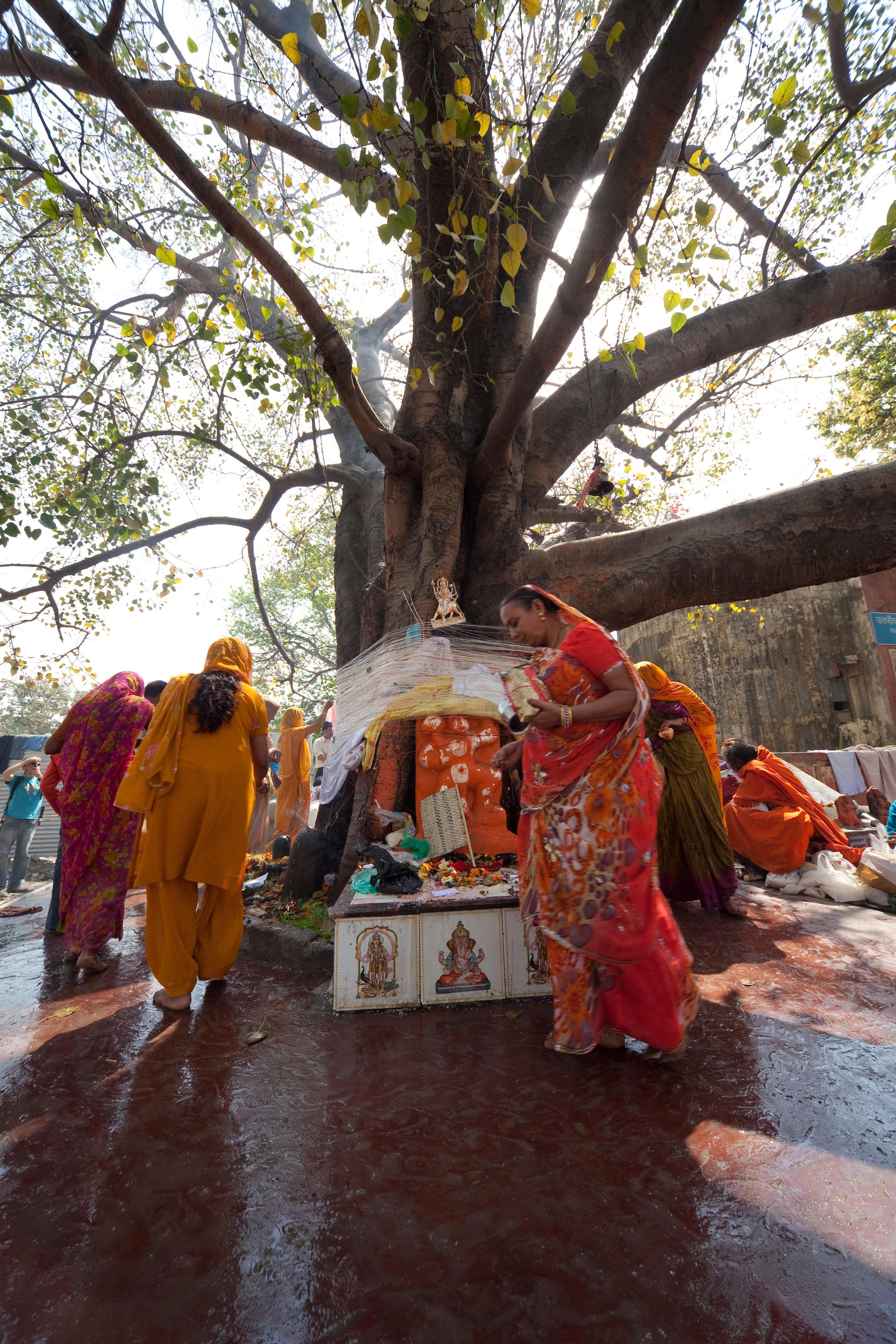 10 india 3647
