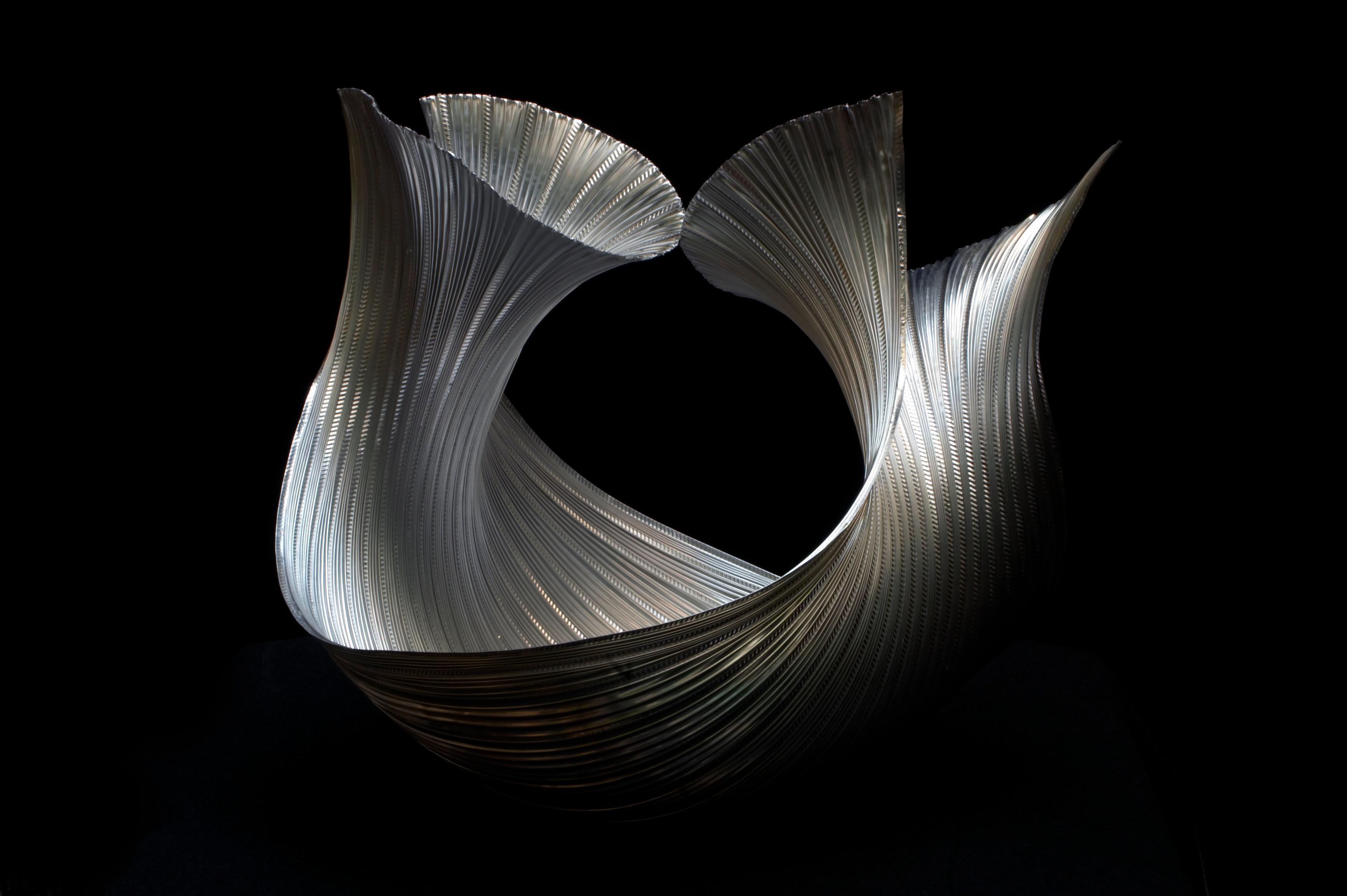 Molluschi 07