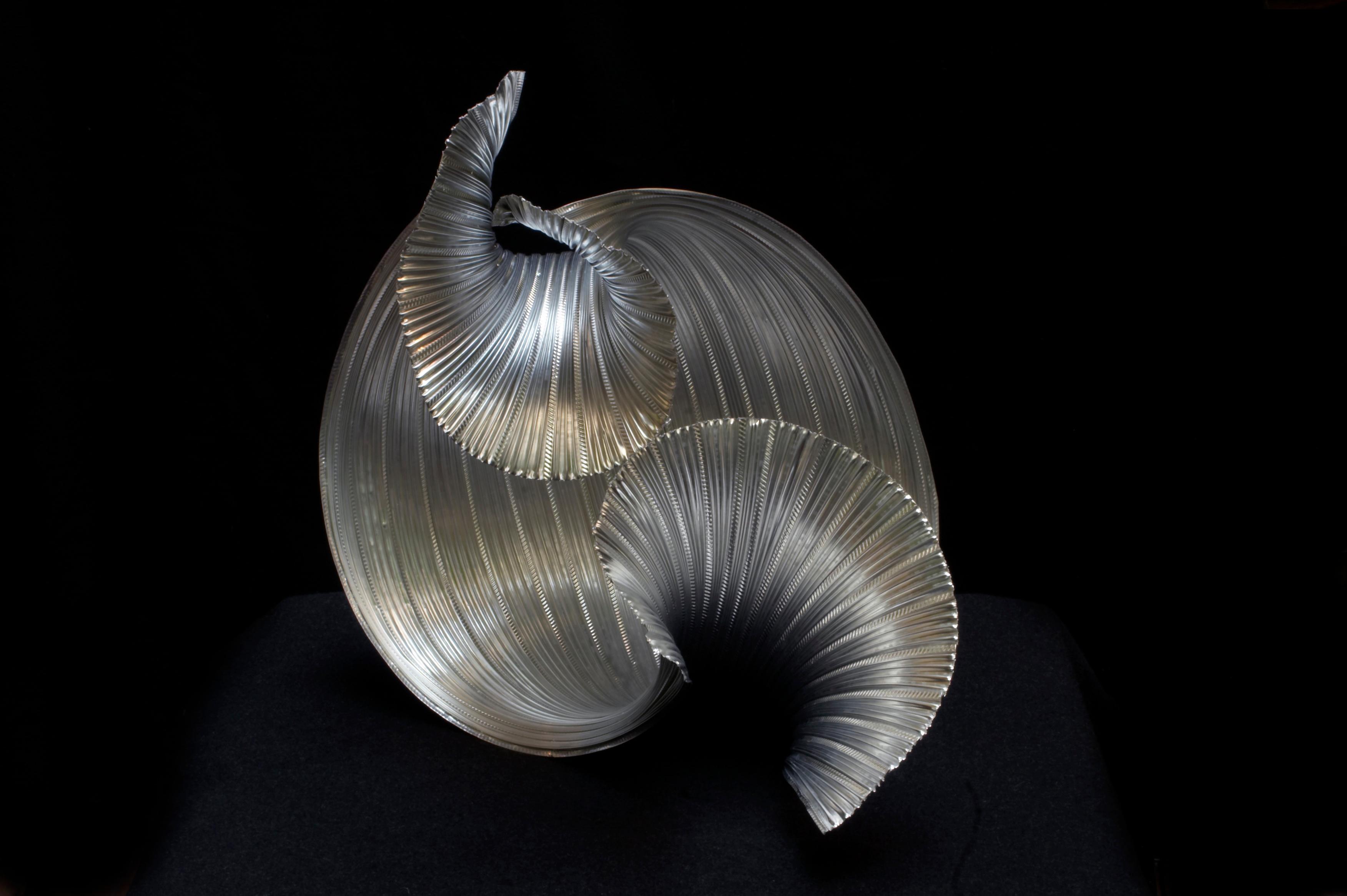 Molluschi 10