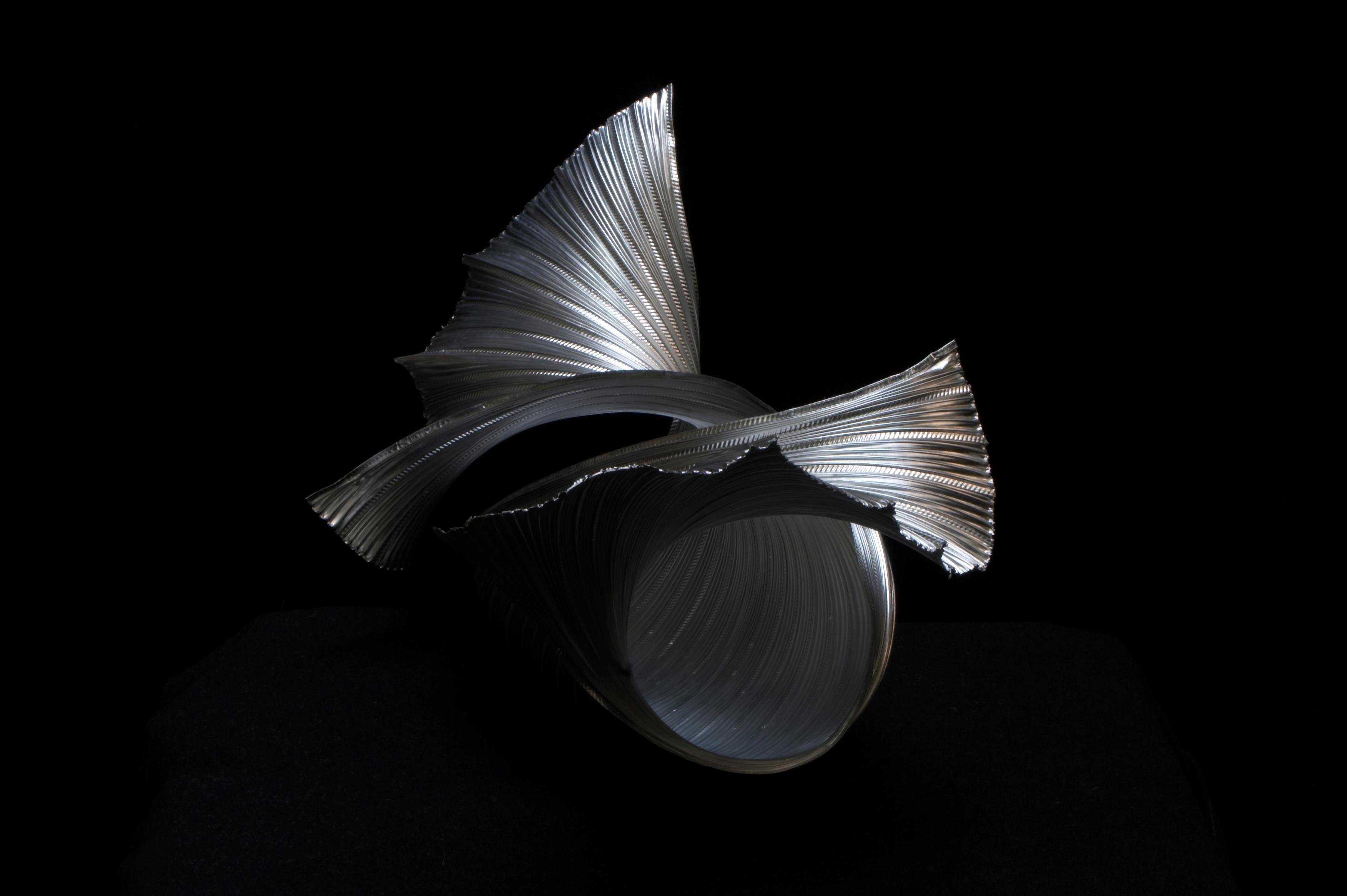 Molluschi 25